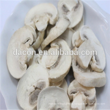 frozen dried mushroom